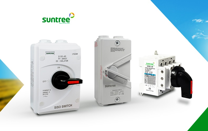 Suntree_02