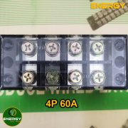 Cau Dau 4P 60A